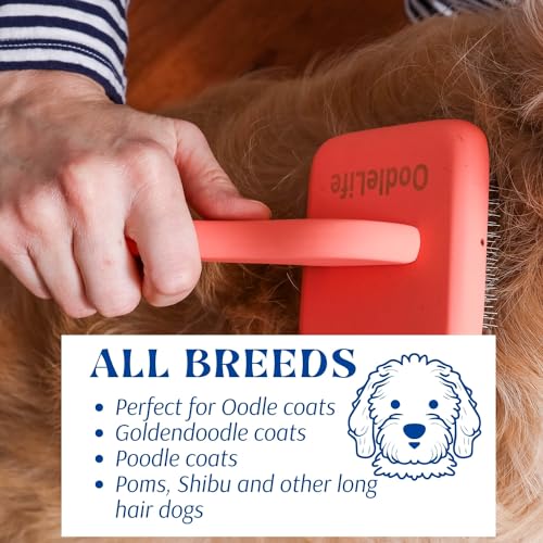 Large Slicker Brush for Grooming (Goldendoodle and Doodle Coats)