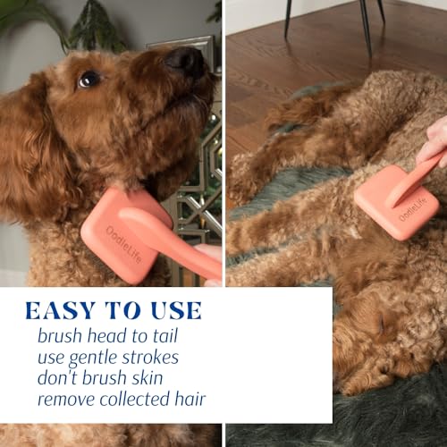 Large Slicker Brush for Grooming (Goldendoodle and Doodle Coats)