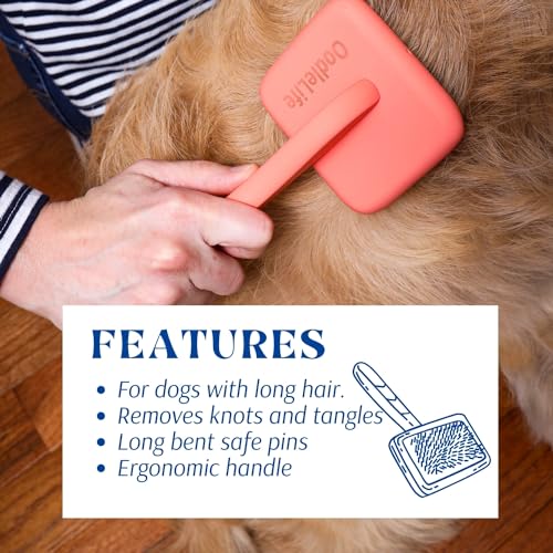 Large Slicker Brush for Grooming (Goldendoodle and Doodle Coats)