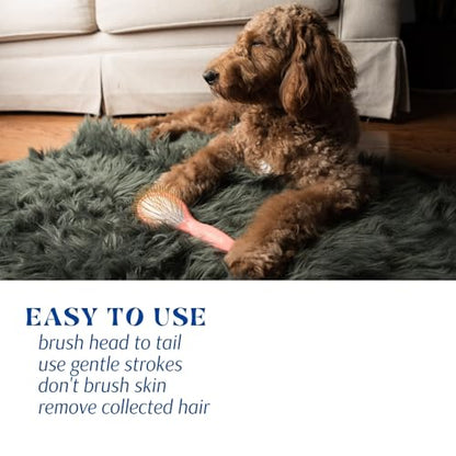 Gold Pin Dog Brush For Everyday Grooming