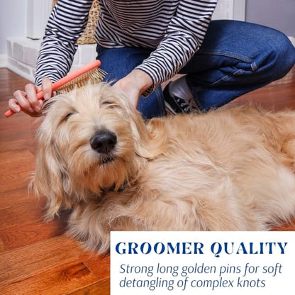 Gold Pin Dog Brush For Everyday Grooming